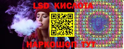 ешки Новодвинск