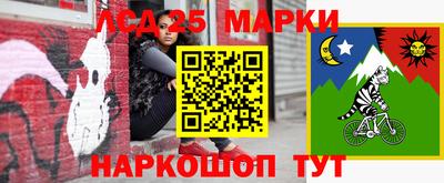 ешки Новодвинск