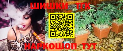 ешки Новодвинск